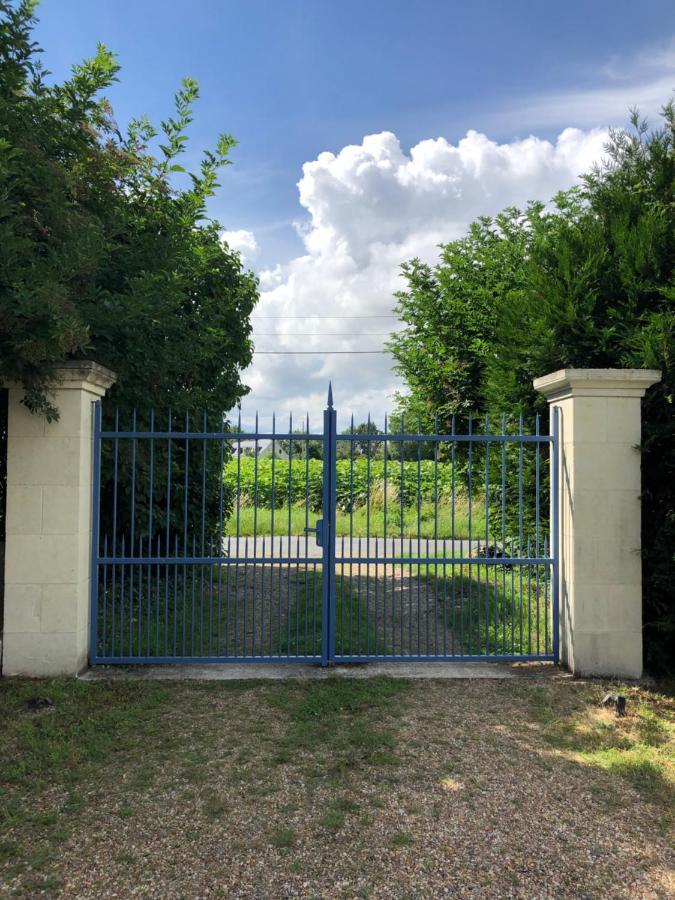 Chambres D Hotes Avec Piscine Et Spa La Foliere Saumur Villebernier ภายนอก รูปภาพ